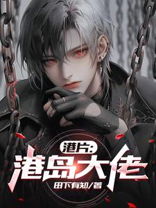 ��Ƭ���۵�����