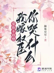 爱你不珍惜,我嫁权臣你哭什么?